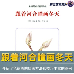 彩铅教程 色铅笔四季手绘跟着河合瞳画冬天 色铅笔绘画方法和技巧
