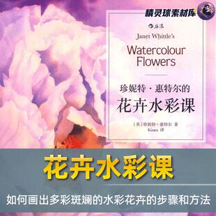 水彩教程 珍妮特惠特尔的花卉水彩课 细致入微花卉植物水彩画教程