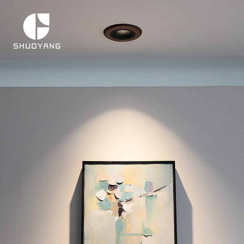 玄关照画天花射灯烁阳