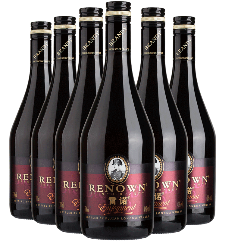 雷诺【RENOWN】悦享白兰地VO 40度 700ml 整箱装 洋酒烈酒 正品