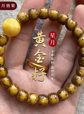 黄金籽星月菩提手串正品高密单圈文玩菩提子佛珠男女盘玩手链