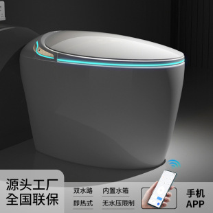 全自动翻盖即热式 蛋形家用智能马桶一体式 坐便器泡沫盾无水压限制