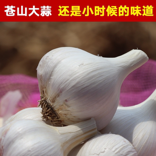 25年苍山大蒜头山东兰陵笨蒜老品种白皮四六瓣土蒜农家自种香蒜