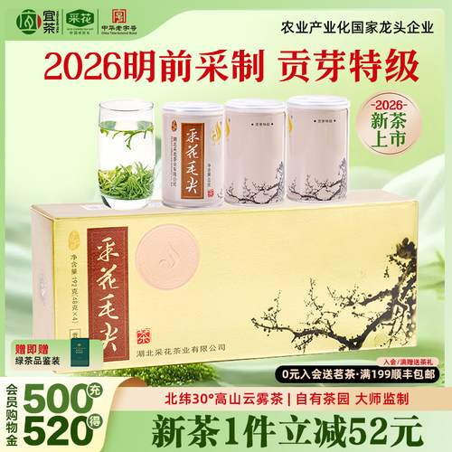 采花毛尖明前贡芽茶梅款