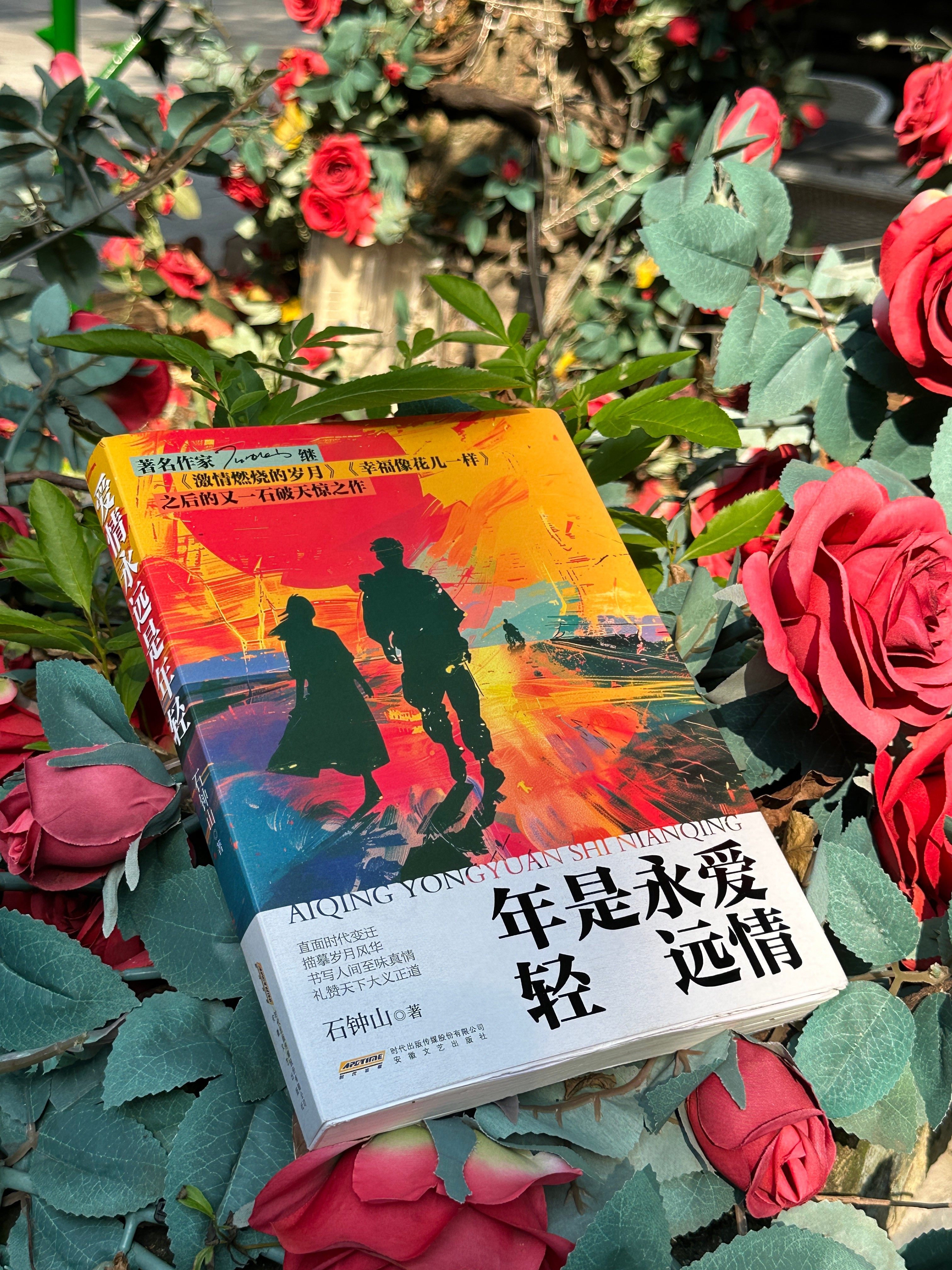 爱情永远是年轻  石钟山著 军旅情感题材的原创长篇小说  安徽文艺出版社