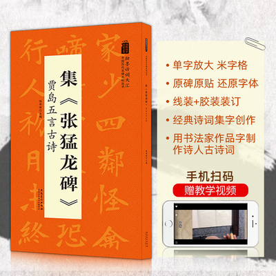 集张猛龙碑 贾岛五言古诗 翰墨诗词大汇 中国历代名碑名帖丛书 陆有珠著楷书毛笔字帖临摹书籍碑帖米字格安徽美术出版社