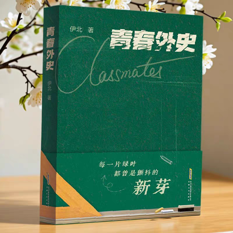 青春外史 伊北著 安徽文艺出版社 一部浸润着浓郁怀旧气息的青春小说 - 实物图
