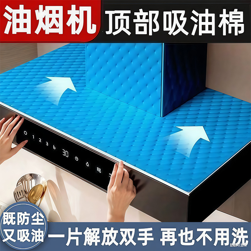 LEOUEANR/黎漾油烟机顶部防油吸油棉防渗透厨房防油贴纸油污BJ
