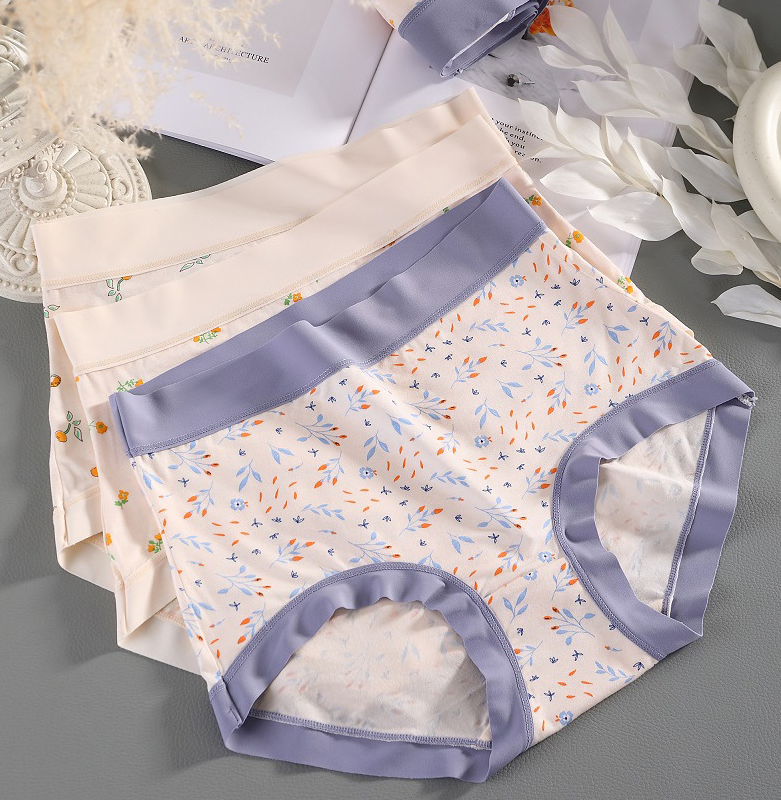 Women Modal Underwear Ladies Full Back Coverage Knickers