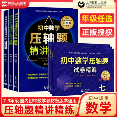 初中数学压轴题精讲精练七八九