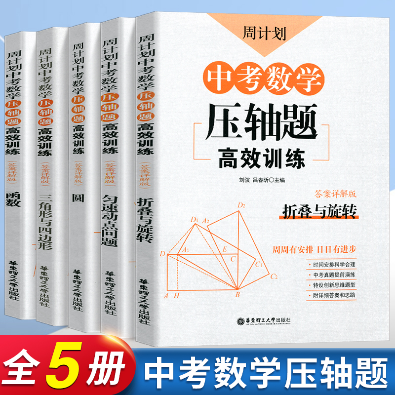 周计划中考数学压轴题专项训练书
