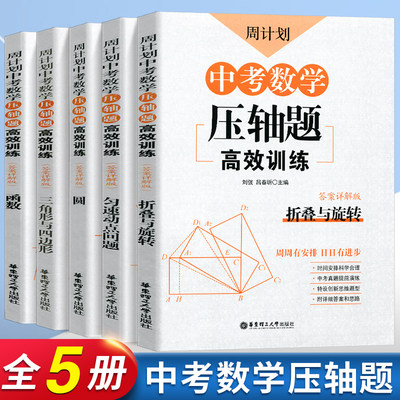 周计划中考数学压轴题专项训练书