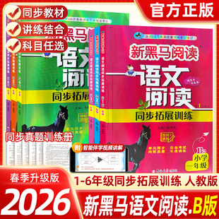 2026新黑马阅读一二三四五六年级语文阅读同步训练AB版小学课外阅读书籍专项强化训练课本同步阅读专项训练上下册儿童阅读课外书