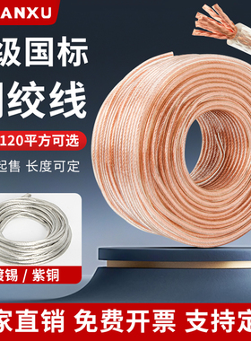 紫铜编织带接地线国标紫铜绞线16/25/50平方高压软铜线焊把线包塑