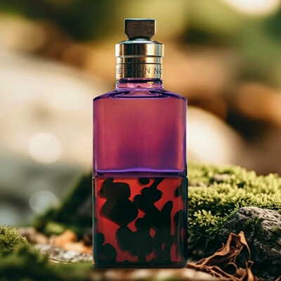 driesvannoten香水试香小样