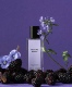Jorum Studio愈莓HEALING BERRY白蜡树香水飞稚飞蓟金雀之地小样