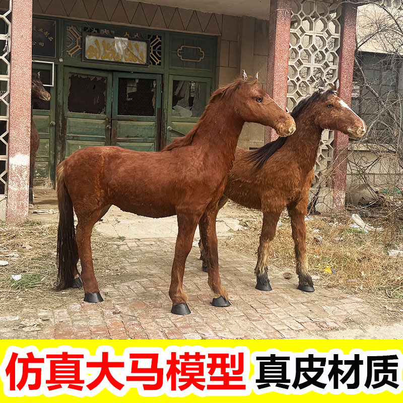 仿真马模型可乘骑1比1大马标本展厅假马影视道具黑白马真皮马摆件