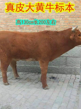 大型标本仿真餐厅招财橱窗工艺品