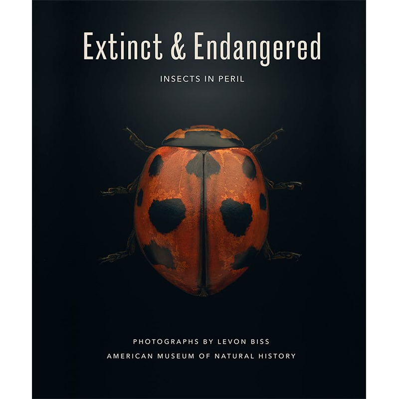 【预售】Extinct & Endangered : Insects in Peril，灭绝与濒危：处境危险的昆虫 英文原版图书籍进口正版 Levon Biss 书籍/杂志/报纸 艺术类原版书 原图主图