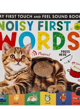 【预售】【触摸&发声】单词学习 Noisy First Words 英文原版儿童趣味图书Libby Walden 外文正版