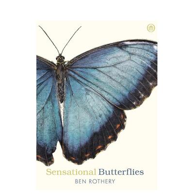 【现货】惊艳蝴蝶图鉴 Sensational Butterflies英文进口原版儿童绘本图书Rothery, Ben外文正版