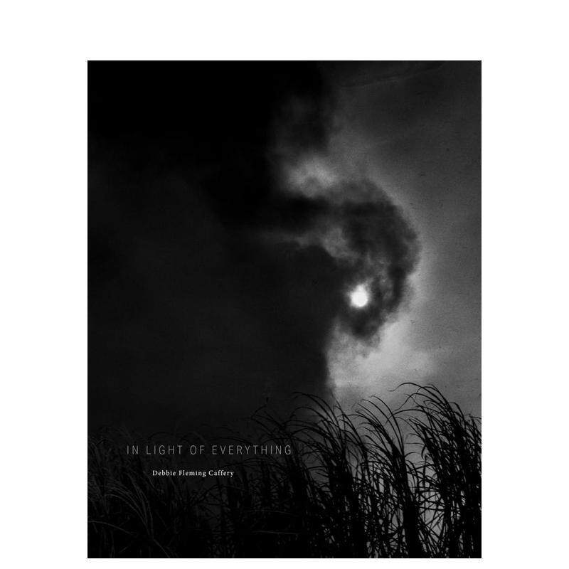【预售】万物之光Debbie Fleming Caffery: In Light of Everything英文进口原版摄影集外文图书集 外版进口图书