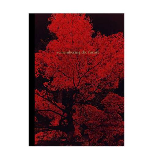 记住未来 Rememberin