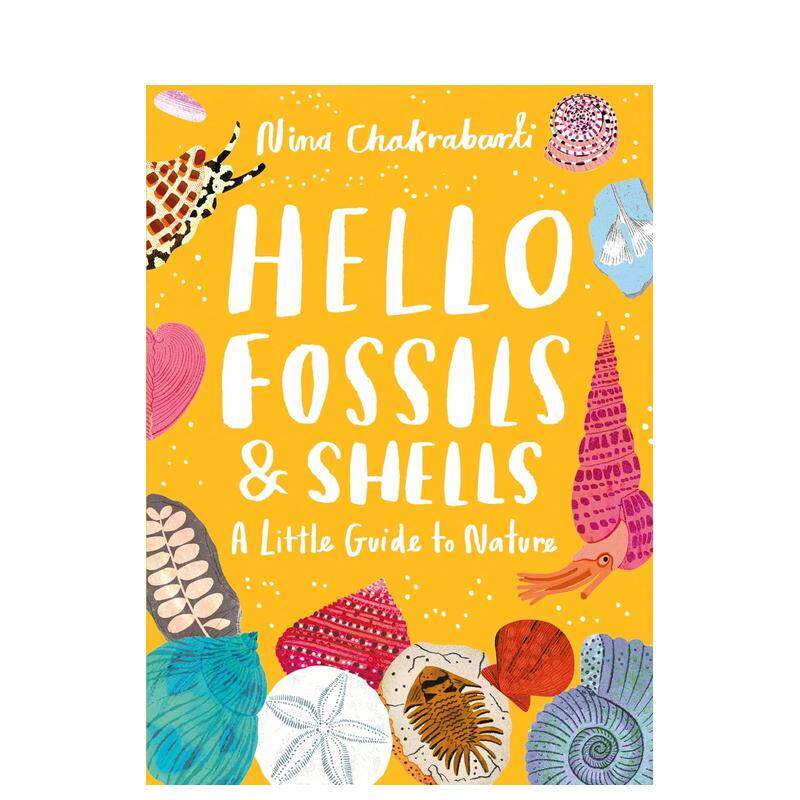 【自然小书】你好化石与贝壳 【