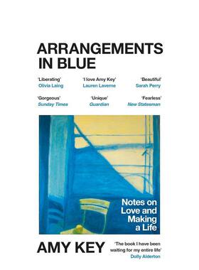 【预售】蓝色的安排 Arrangements in Blue 英文进口原版文学传记图书籍Key  Amy外文正版