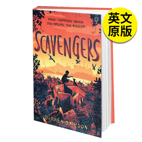 英文原版图书籍进口正版
