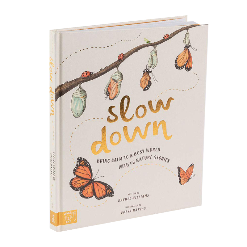 翰德图书故事启蒙艺术绘本