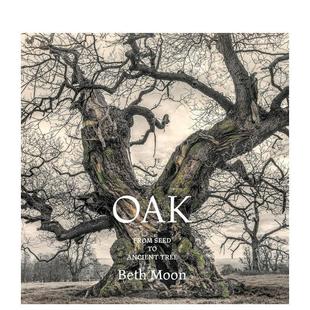 英文进口原版 Press Oak Ancient Seed 橡树：从种子到古树 From 摄影作品集自然景观图书Abbeville Tree 预售