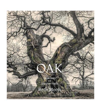 【现货】橡树：从种子到古树 Oak: From Seed to Ancient Tree 英文进口原版摄影作品集自然景观图书Abbeville Press