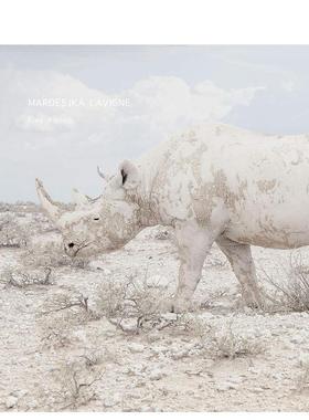 【预售】Maroesjka Lavigne：某人、某地、某时 Maroesjka Lavigne: Someone  Somewhere  Sometime 英文进口原版摄影作品集LaVig