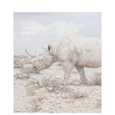 【预售】Maroesjka Lavigne：某人、某地、某时 Maroesjka Lavigne: Someone  Somewhere  Sometime 英文进口原版摄影作品集LaVig