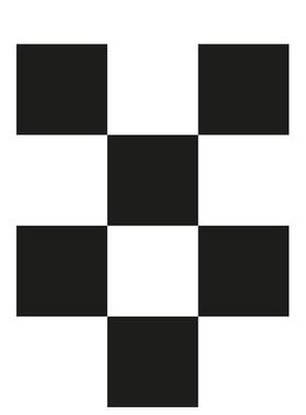 【预售】当代设计现象 The Neubad Plakat - A Contemporary Design Phenomenon 英文进口原版字体图案标志设计图书Slanted Publi