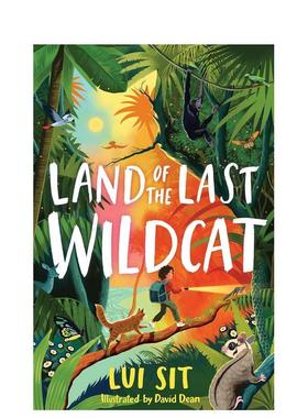 【预售】最后的野猫之地 Land of the Last Wildcat 家庭友谊 自然 冒险魔法 章节故事 英文进口原版儿童章节书图书Lui Sit David