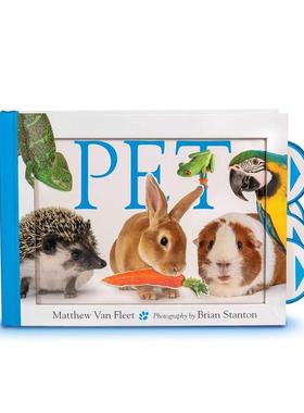 【现货】宠物 Pet   英文进口原版儿童章节图书Brian Stanton外文正版