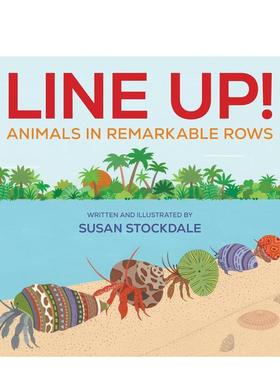 【现货】排队！ Line Up!: animals in Remarkable Rows 英文进口原版儿童绘本图书Susan Stockdale
