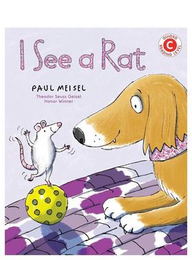 【预售】我看到一只老鼠I See A Rat英文进口原版图书儿童绘本Meisel  Paul3-6岁