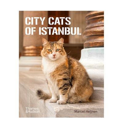 【现货】伊斯坦布尔的街头猫 City Cats of Istanbul 土耳其 人文风情 英文进口原版摄影作品集人文景观图书T&H外文正版