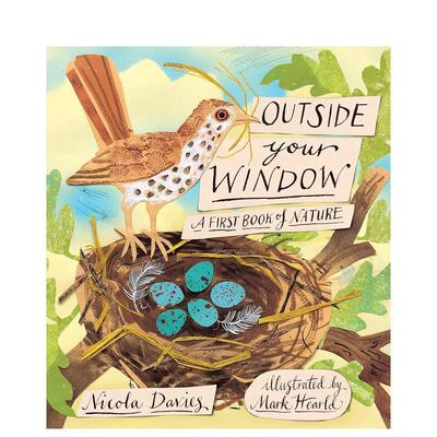 【现货】窗外：第一本自然之书Outside Your Window: A First Book of Nature 英文进口原版儿童绘本图书 3-6岁 Candlewick Press