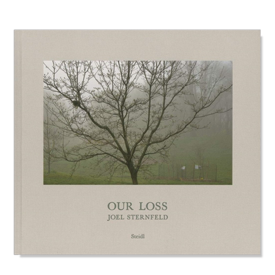 【现货】乔·斯坦菲尔德：我们的损失JOEL STERNFELD: OUR LOSS英文原版摄影集 外版进口图书