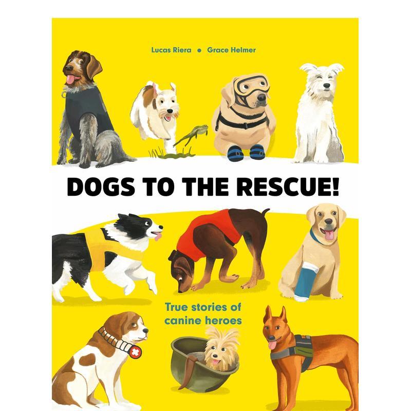 救援犬：19个小狗英雄的故事