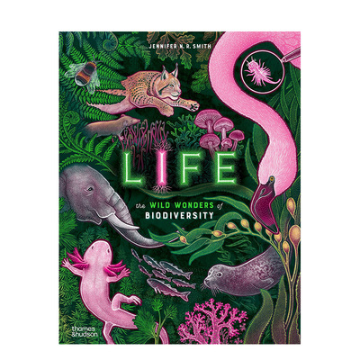 【现货】生命：生物多样性的野生奇观 【Wild Wonders】Life The Wild Wonders of Biodiversity 英文进口原版儿童绘本3岁-6岁Jen