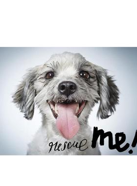 【现货】拯救我：纽约的狗狗收养肖像和故事 Rescue Me: Dog Adoption Portraits and Stories from New York City英文摄影原版图
