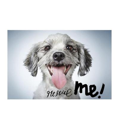 【现货】拯救我：纽约的狗狗收养肖像和故事 Rescue Me: Dog Adoption Portraits and Stories from New York City英文摄影原版图