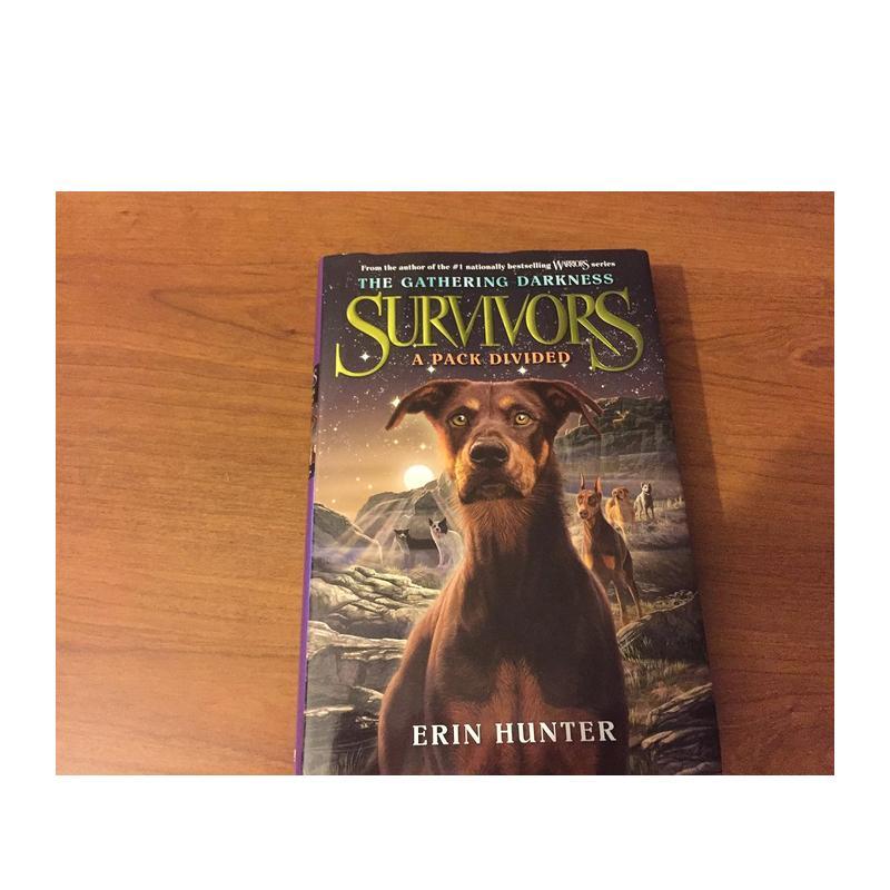 幸存者:聚集的黑暗1:一个族群