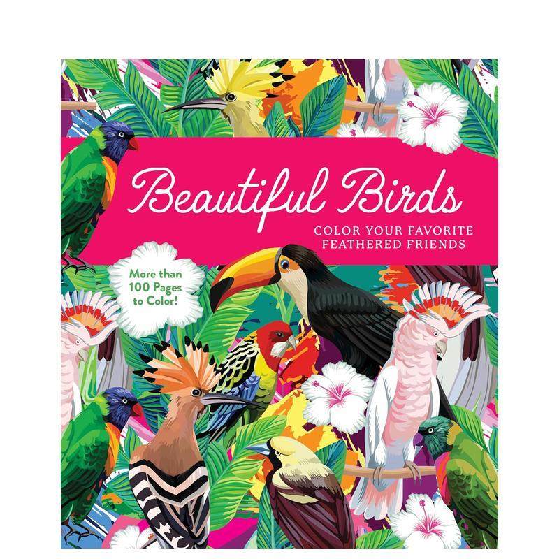 美丽的鸟 羽毛着色书 Beau