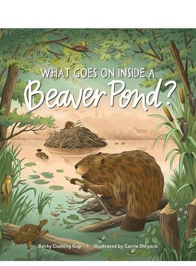 【预售】海狸池塘里有什么？ What Goes on inside a Beaver Pond? 进口原版英文儿童百科绘本9岁-12岁Gop  Becky Cushing外文正版